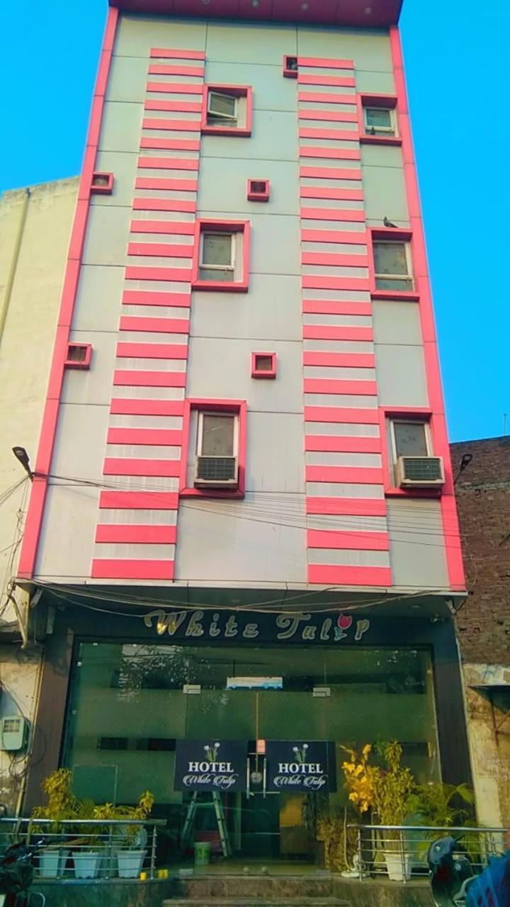 Hotel White Tulip アムリトサル エクステリア 写真